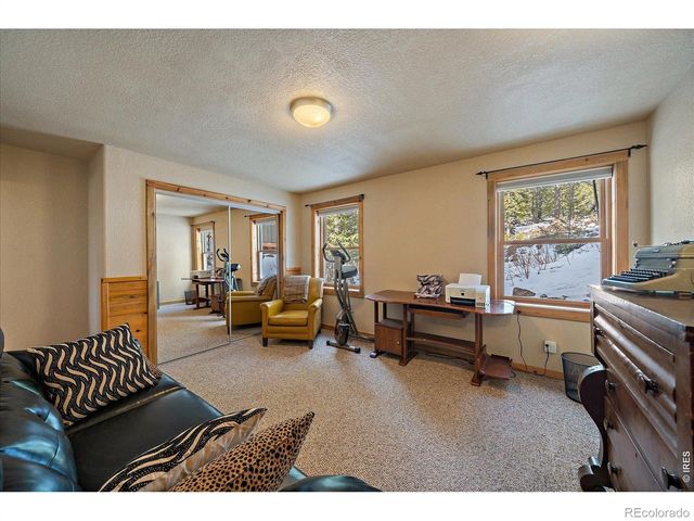 143 Crockett Trail, Ward, CO 80481