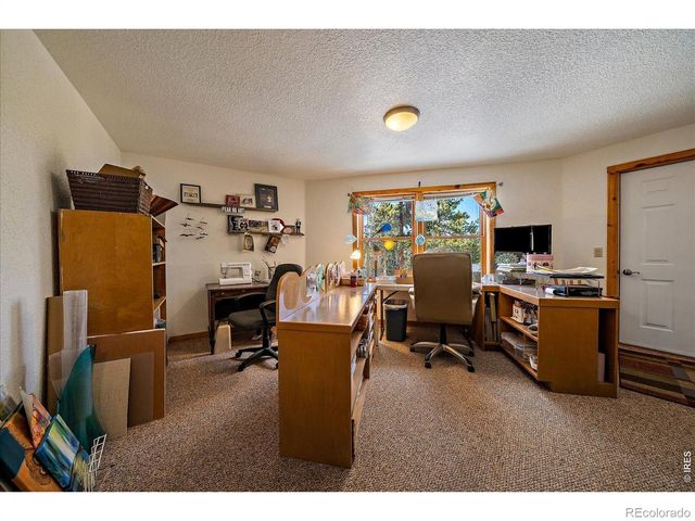 143 Crockett Trail, Ward, CO 80481