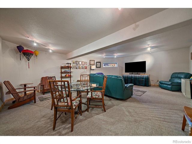 143 Crockett Trail, Ward, CO 80481