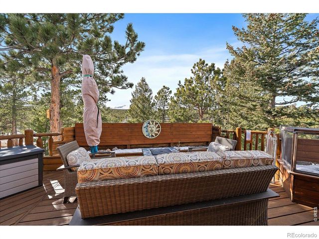 143 Crockett Trail, Ward, CO 80481