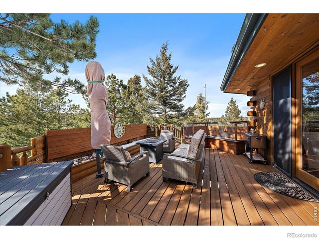 143 Crockett Trail, Ward, CO 80481