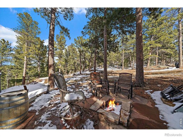 143 Crockett Trail, Ward, CO 80481