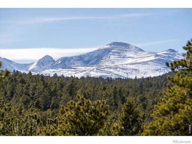143 Crockett Trail, Ward, CO 80481