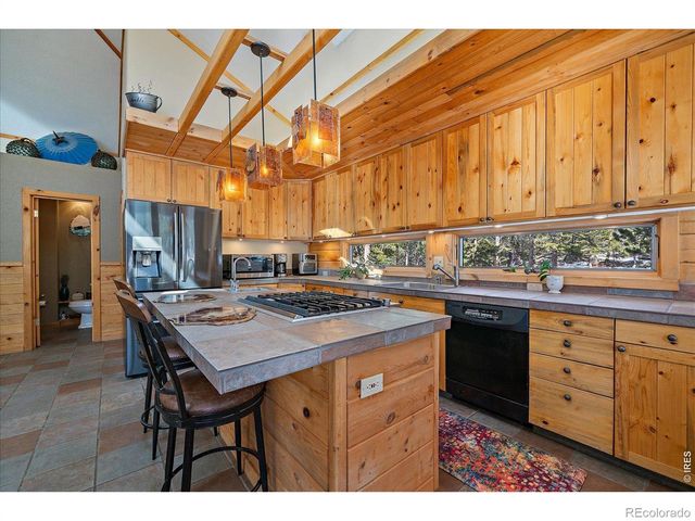 143 Crockett Trail, Ward, CO 80481