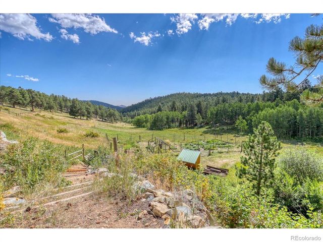 143 Crockett Trail, Ward, CO 80481