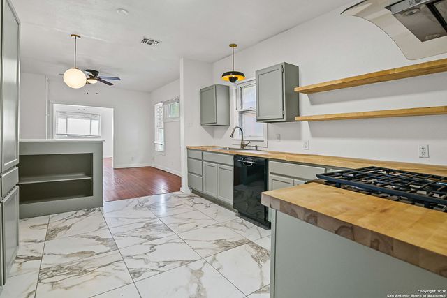 915 W Gramercy, San Antonio, TX 78201