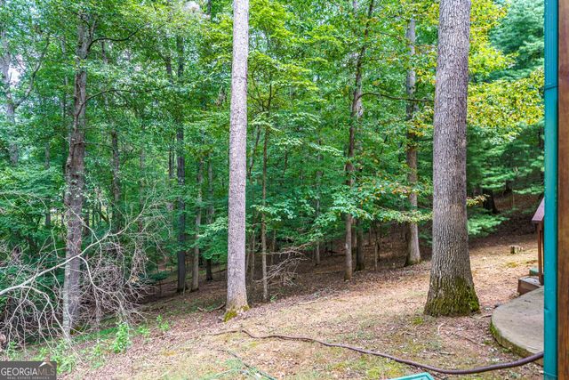 114 Rockingham Way, Ellijay, GA 30540