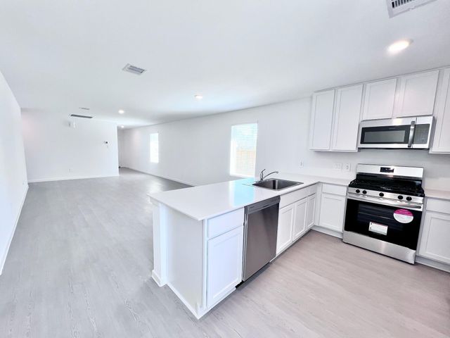 1392 Diamond Carnation Drive, Conroe, TX 77301