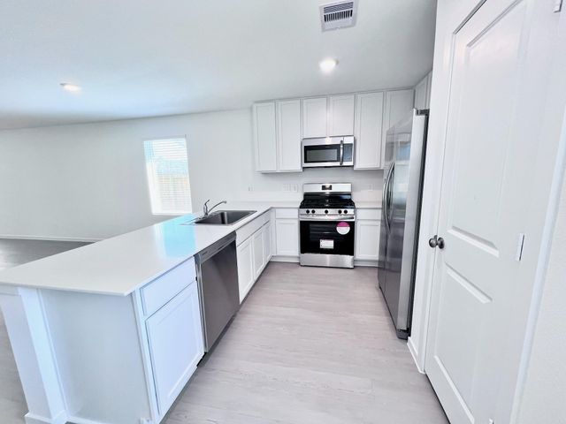 1392 Diamond Carnation Drive, Conroe, TX 77301