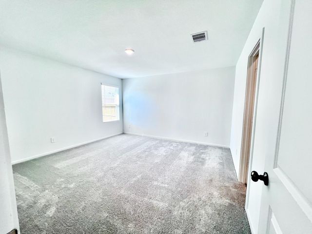 1392 Diamond Carnation Drive, Conroe, TX 77301