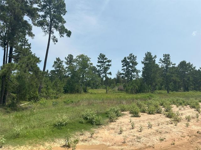 31931 Boone Road, Waller, TX 77484