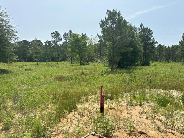 31931 Boone Road, Waller, TX 77484