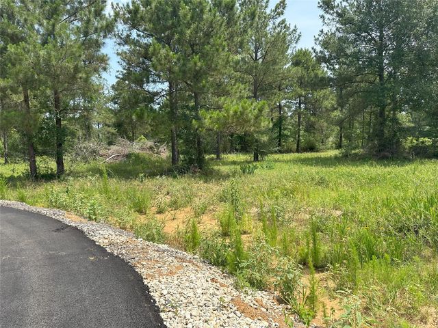 31931 Boone Road, Waller, TX 77484