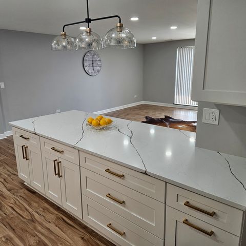 1717 W CRYSTAL Lane 310, Mount Prospect, IL 60056