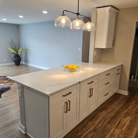 1717 W CRYSTAL Lane 310, Mount Prospect, IL 60056