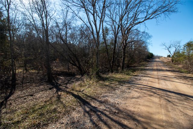 Lot 6 County Road 2905, Dodd City, TX 75438