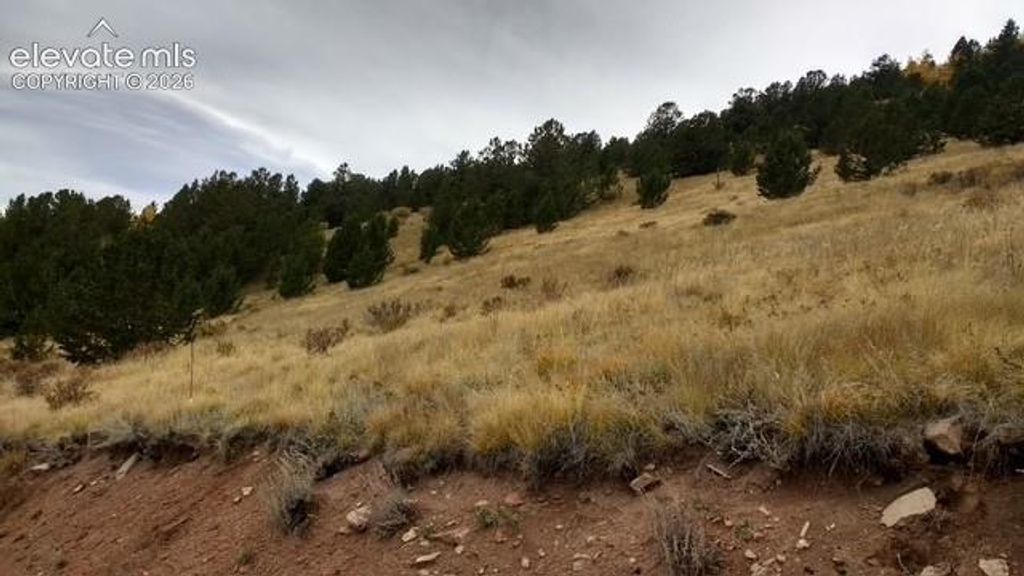 Highway 67, Cripple Creek, CO 80813 — photo 3