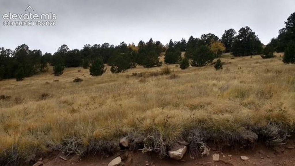 Highway 67, Cripple Creek, CO 80813 — photo 4