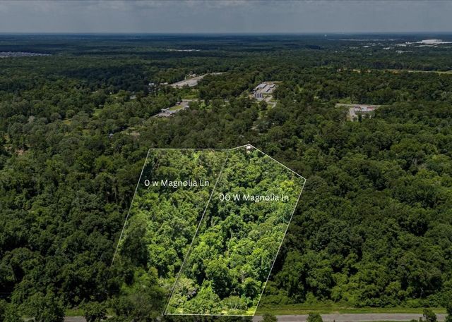 00 W Magnolia Ln, New Caney, TX 77357
