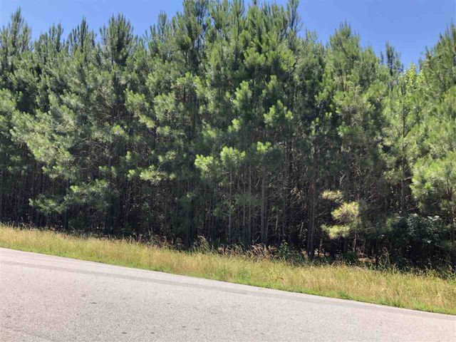 0-0 Mt Zion Church Road, Apex, NC 27502