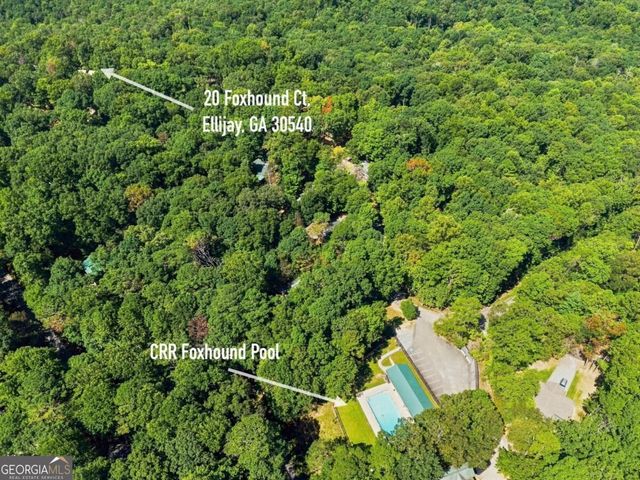 20 Foxhound Court, Ellijay, GA 30540