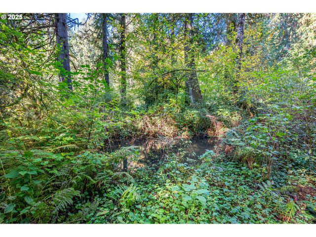 724 OSTRANDER Rd, Kelso, WA 98626