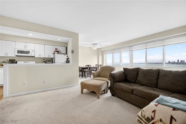 12520 Edgewater Drive 1507, Lakewood, OH 44107