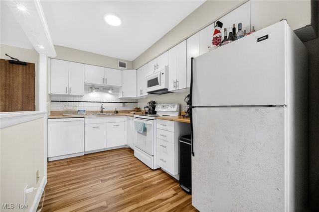 12520 Edgewater Drive 1507, Lakewood, OH 44107