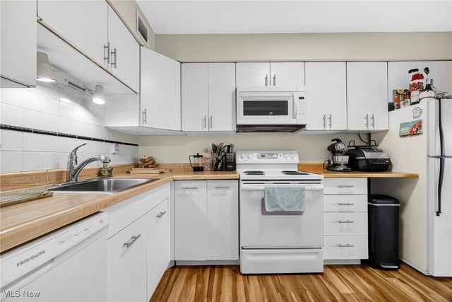 12520 Edgewater Drive 1507, Lakewood, OH 44107