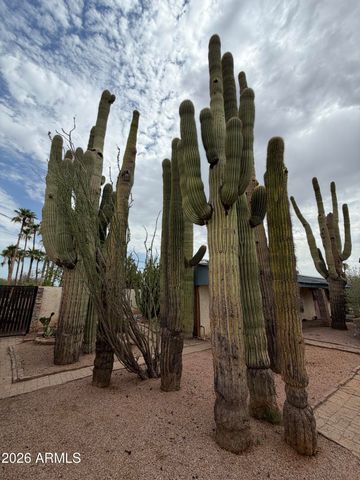 8712 E MAIN Street, Mesa, AZ 85207