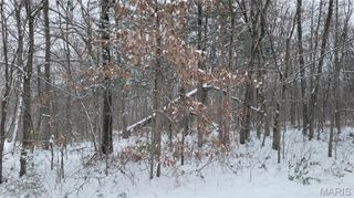 Tract 2 Valley Farm Lane, Warrenton, MO 63383