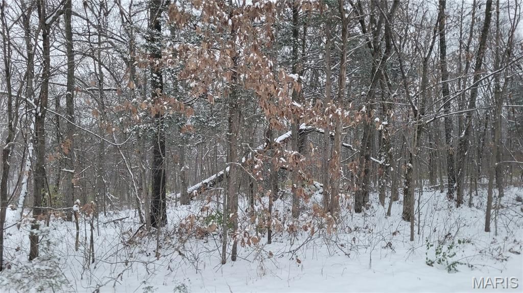 Tract 2 Valley Farm Lane, Warrenton, MO 63383