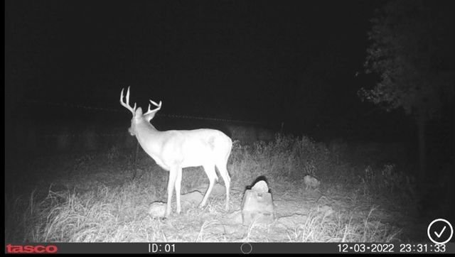 349 HCR 1314, Hillsboro, TX 76645