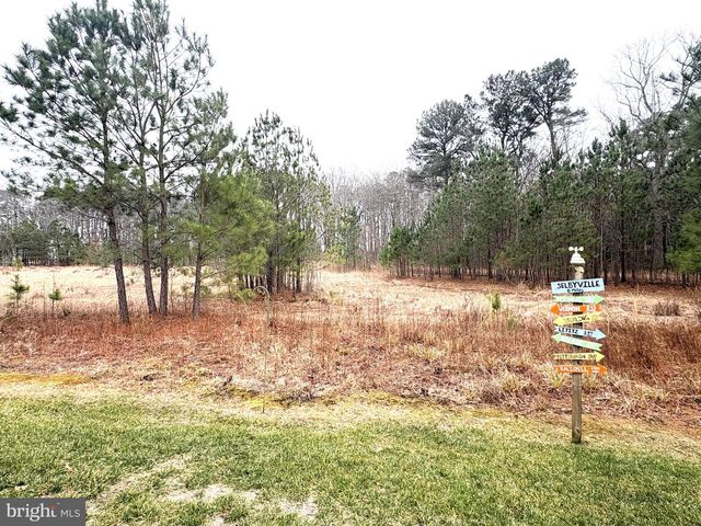 38734 SOFT BEACH CIR, Selbyville, DE 19975