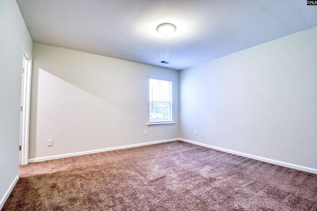 1355 Tamarind Lane, Chapin, SC 29036