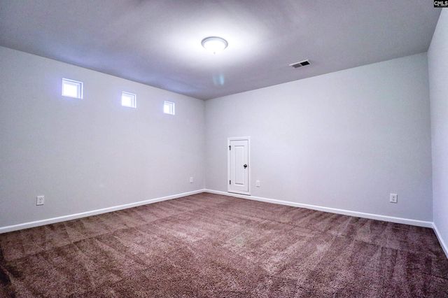 1355 Tamarind Lane, Chapin, SC 29036