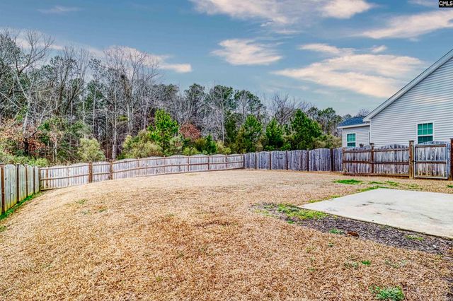 1355 Tamarind Lane, Chapin, SC 29036