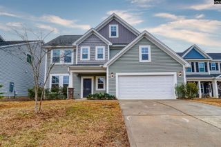 1355 Tamarind Lane, Chapin, SC 29036