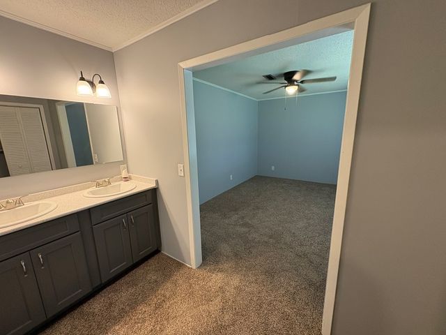 2910 S County Road 9, Newton, AL 36352