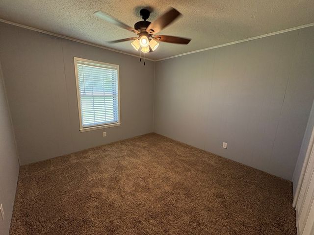 2910 S County Road 9, Newton, AL 36352