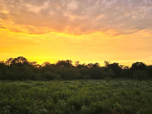 124 Valley Creek DR, Cedar Creek, TX 78612