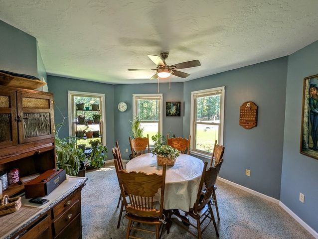 175 Castleton Cv, Paris, TN 38242