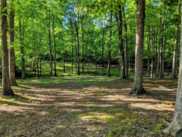 175 Castleton Cv, Paris, TN 38242