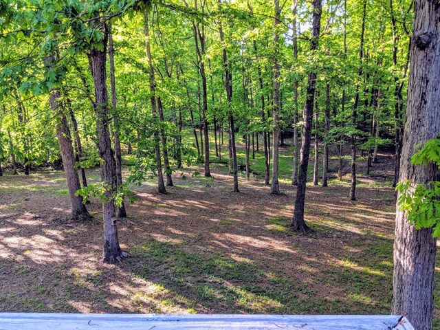 175 Castleton Cv, Paris, TN 38242
