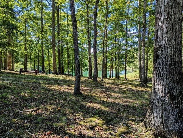 175 Castleton Cv, Paris, TN 38242