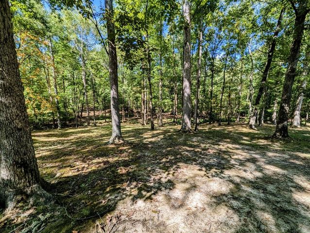 175 Castleton Cv, Paris, TN 38242