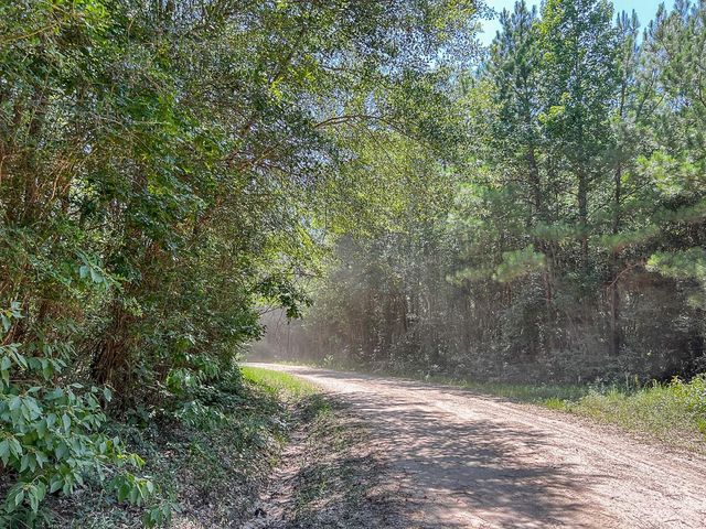 15 Joskey Dykes Rd, Zavalla, TX 75980