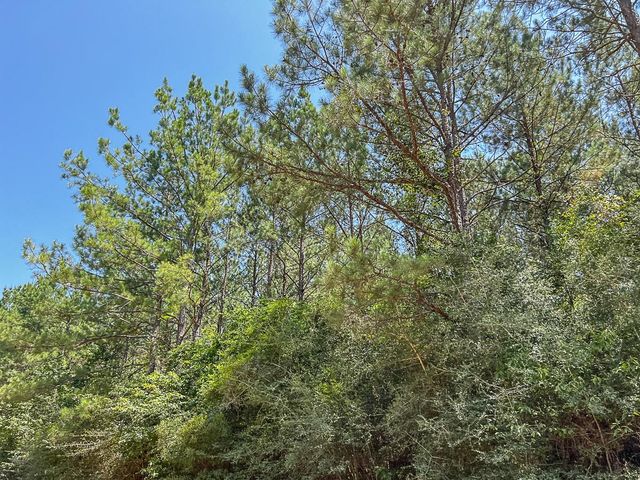 15 Joskey Dykes Rd, Zavalla, TX 75980