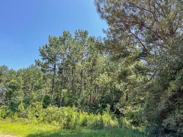 15 Joskey Dykes Rd, Zavalla, TX 75980