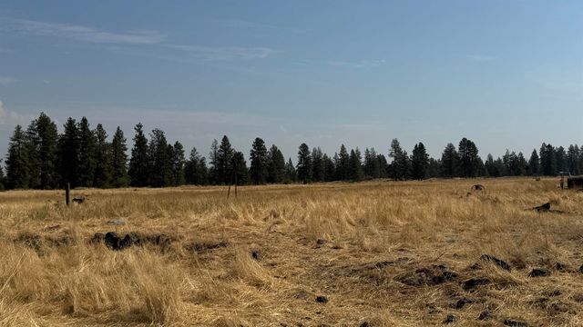9916 W Newkirk Rd, Spokane, WA 99224